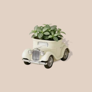 Carrito